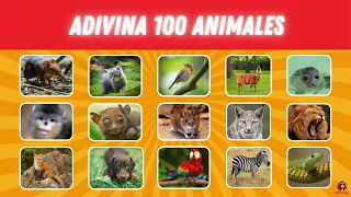 Adivina 100 Animales en 3 Segundos - Fácil a Imposible🦁🦆🐷