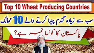 Top 10 Wheat Producing Countries of the World || Crop Reformer