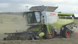 Claas Lexion 770 harvesting grass seeds w/ SwathMaster Pick-up | Harvest 2020 | DK Agriculture