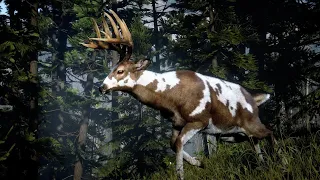 Red Dead Redemption 2 -  Legendary Animal - Legendary Buck