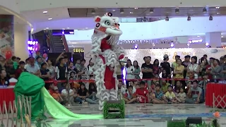 [Giải Lân Địa Bửu Sc Vivo City 2018] Phước Lộc Đường [lion dance championship Sc vivocity]