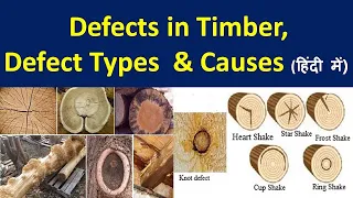 Defect in timber / Defect in wood / Types of Defect in timber / Causes of Defect in timber / Timber