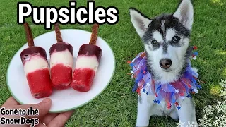 Patriotic Fruit Popsicle For Dogs | DIY Frozen Dog Treats 120 | Pupsicle