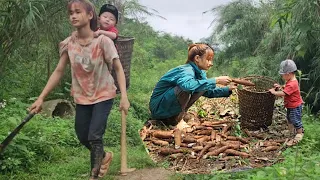 Without food, I dug up cassava roots to exchange rice to cook porridge for my son @NGThuy-02