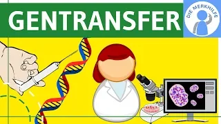 Methoden des Gentransfers - Vektoren, Gentaxis einfach erklärt, Werkzeuge & Grundlagen, Gentechnik 2