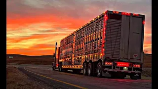 Outlaw bull haulers doing what they do best