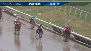 Gulfstream Park January 20, 2019 Race 2