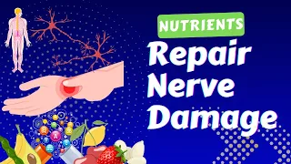 10 Incredible Nutrients to Repair Damaged Nerves | Nerve Damage Repair - NATURALLY #youtube #msseven