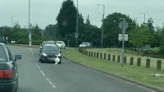 Swan Holds Up Traffic On Road