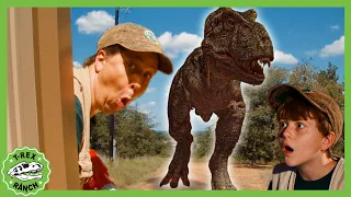 Get the T-Rex Out!! | T-Rex Ranch Dinosaur Videos for Kids