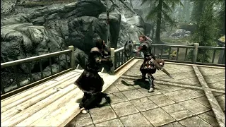 Legate Rikke VS Vilkas revanche SKYRIM