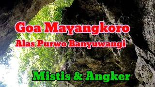 Adventure to Mayangkoro Cave || pedestal purwo banyuwangi