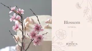 Blossom Sugar Flower Tutorial (Gumpaste / Flower Paste)