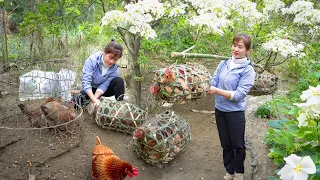 Harvesting Chicken Go To Market Sell - Weave bamboo chicken cages - Animals | Nhất New Life