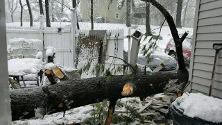 Ветром снесло дерево и ушатало крышу дома