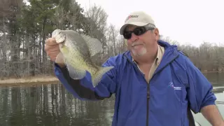 Lucky Slab Crappie on Toledo Bend