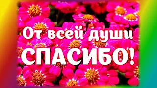 Спасибо!/От всей души спасибо!