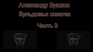 Аудиокнига. Александр Бушков. Бульдожья схватка. Часть 3.