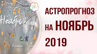 АСТРОПРОГНОЗ НА НОЯБРЬ 2019 ПО БАЦЗЫ и ФЭНШУЙ| 8 ноября — 7 декабря месяц Деревянной Свиньи 乙亥