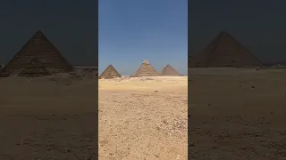Издеваются над животными на пирамидах