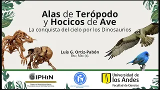 Alas de Terópodo y Hocicos de ave - la conquista del cielo por los Dinosaurios