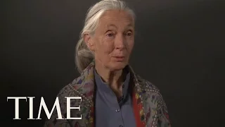 TIME Magazine Interviews: Dr. Jane Goodall