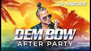 El Alfa, Rochy RD, Chimbala, Bulin 47 | Dembow Mix 2021 - 2020 | After Party By DJ Naydee