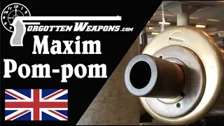 Quick Look at a 37mm Maxim "Pompom" Automatic Cannon