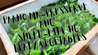 Paano Ma-presserve ang Shelf-Life ng Leafy Vegetables