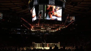 UFC 205 in NYC at MSG Frankie Edgar vs Jeremy Stephens Round 3