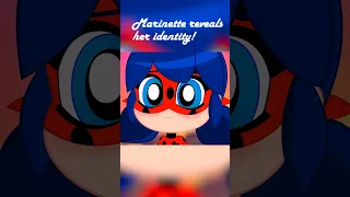 Ladybug Reveals her identity to Cat Noir ( Miraculous Chibi version )