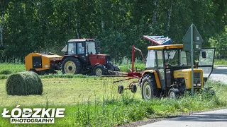 Polskie Sianokosy 2023 / C-360 & MTZ 82 TS / Emisja Spalin 101%