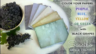 How to Color Your Papers Purple, Blue, Yellow or Green with Black Grapes - Natural Dyeing Tutorial