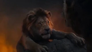 Lion king// warrior