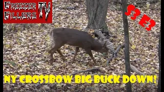 NY Crossbow Deer Hunting! Shots fired! Big buck down!  S3 E3