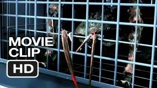 Spiders 3D Movie CLIP #1 (2013) Christa Campbell, William Hope Movie HD