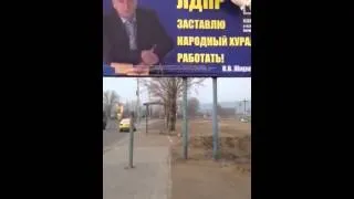 Собака не любит Жириновского)