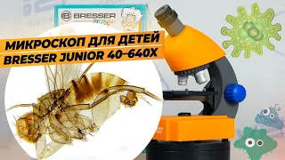 Детский микроскоп Bresser Junior 40–640x | Обзор и тест