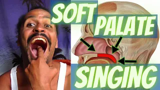 Soft Palate in Singing – Anatomical Vocal Training (30)