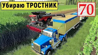Farming Simulator 19 - Уборка ТРОСТНИКА - Снова ЗВЕРЬ приходил - Фермер на НИЧЕЙНОЙ ЗЕМЛЕ # 70