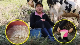 Así se prepara  Calostro de Vaca en el Campo