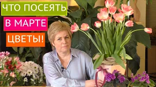 КАКИЕ ЦВЕТЫ ПОСЕЯТЬ НА РАССАДУ В МАРТЕ! РАССАДА 2021!