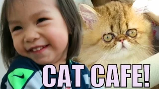 THE CAT CAFE! - November 16, 2015  -  ItsJudysLife Vlogs