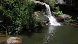 Beautiful Ku-ring-gai featuring McCarrs Creek Waterfall