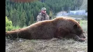 Montana Black Bear Hunt Spring 2016