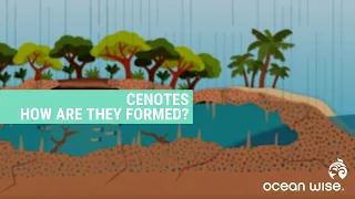 How are Cenotes Formed?  | Ocean Education