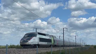 High speed train, TGV, OUIGO, InOui in France