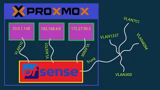 Setup VLAN on pfSense virualized in Proxmox