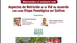 Aspectos de Nutrición de la Vid de acuerdo con cada etapa Fenológica del Cultivo