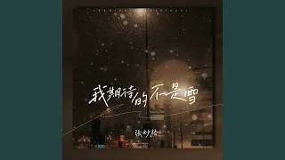 我期待的不是雪（而是有你的冬天） (DJ阿卓版)